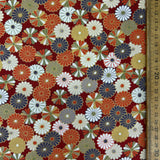 Japanese Kiku in Bloom