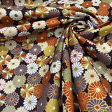 Japanese Kiku in Bloom