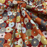 Japanese Kiku in Bloom