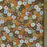 Japanese Kiku in Bloom