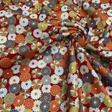 Japanese Kiku in Bloom