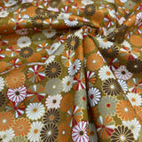 Japanese Kiku in Bloom