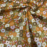 Japanese Kiku in Bloom