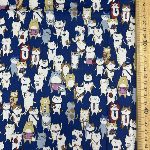 90cm - Crowded Cats walking on Street