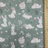 White Fluffy Rabbits in Grassland