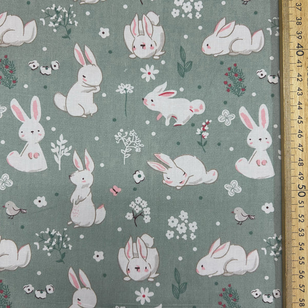 White Fluffy Rabbits in Grassland