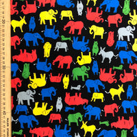 Colourful Animals in Safari
